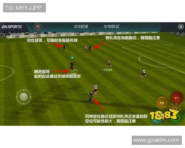 如何高效收集足球球星签名卡并打造个人珍藏品集