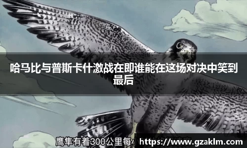 1xbet官网APP